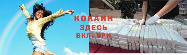 spice Аркадак