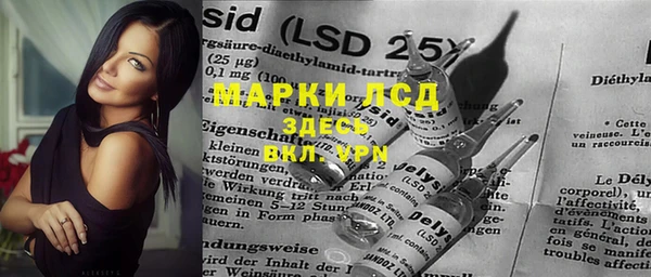 spice Аркадак