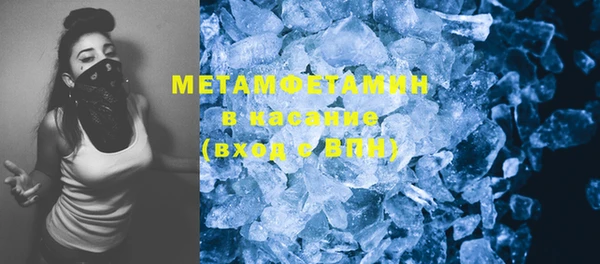 прущие грибы Мегион